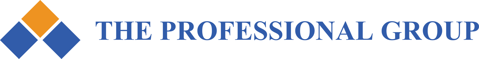 Professional Logo